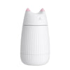 Cat spray humidifier